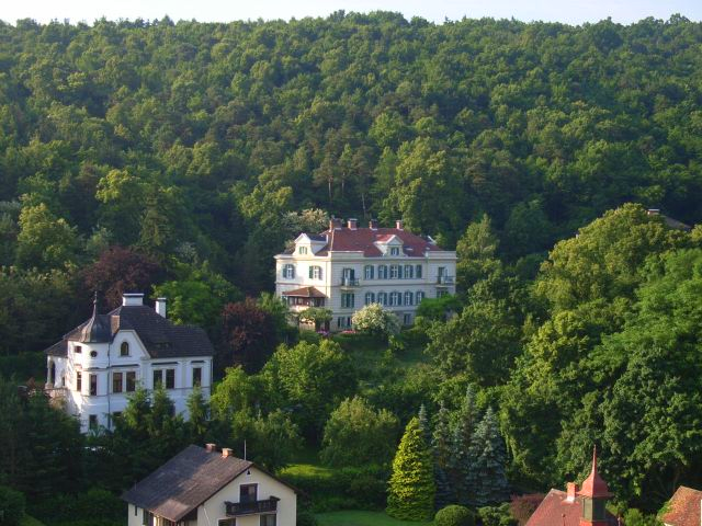 Die wunderschöne Villa für ihren Urlaub im Kamptal